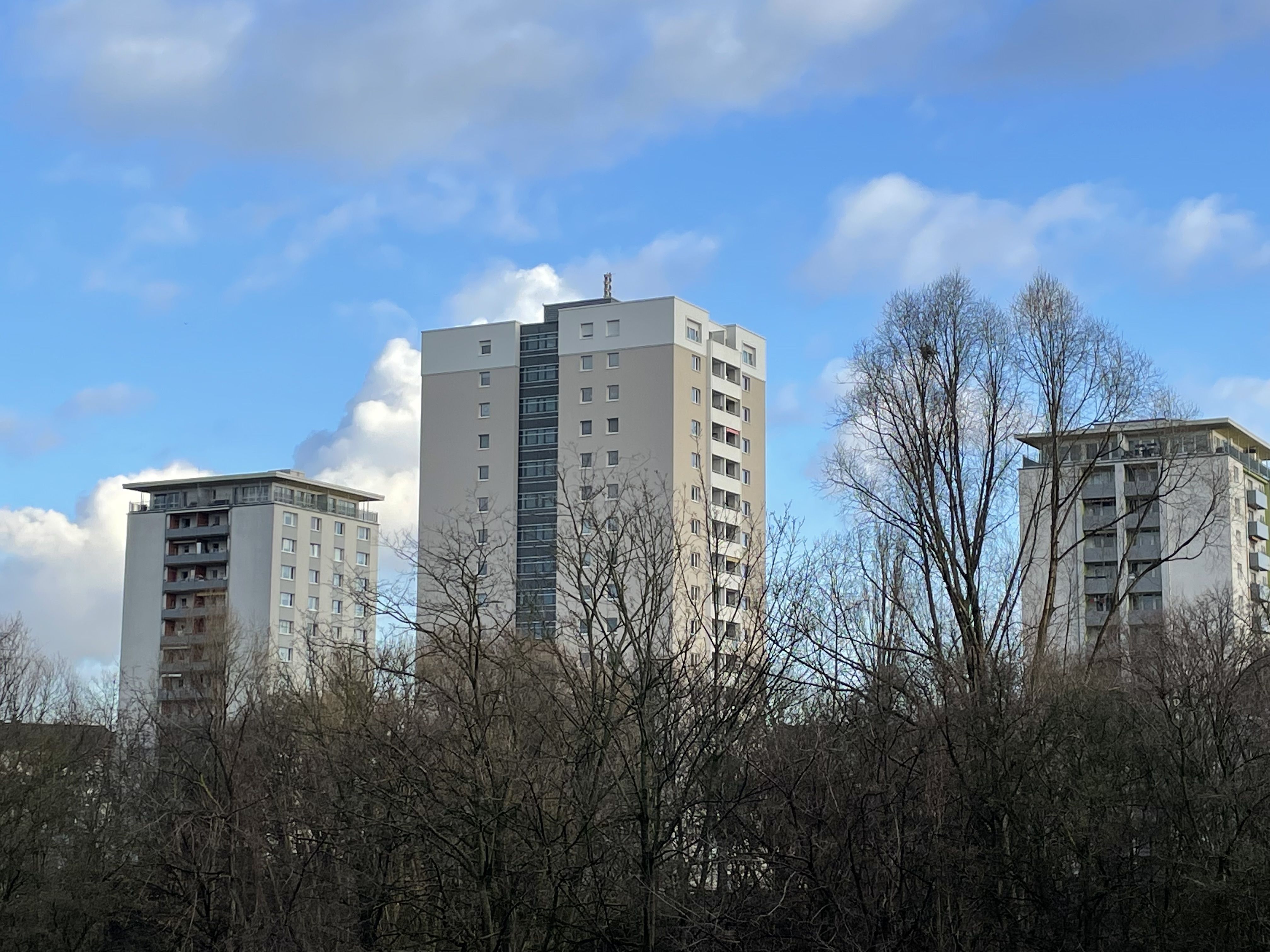 Wohnhochhäuser hinter Sträuchern
