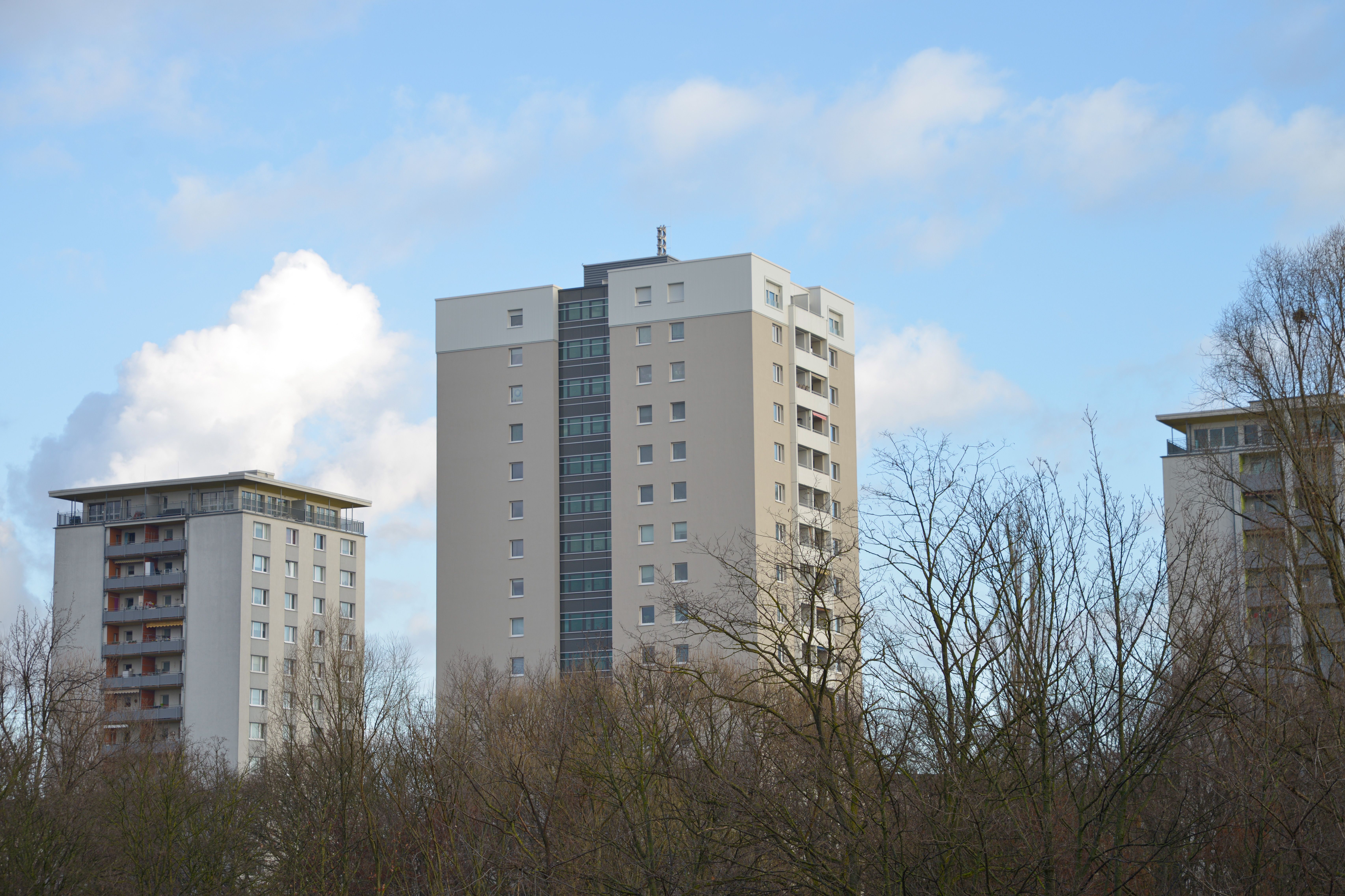 Wohnhochhäuser hinter Sträuchern